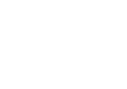 Razor-Flex Logo
